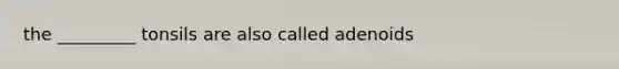 the _________ tonsils are also called adenoids