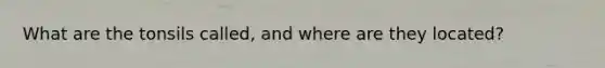 What are the tonsils called, and where are they located?