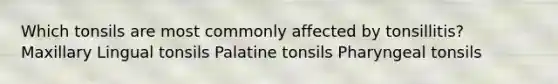 Which tonsils are most commonly affected by tonsillitis? Maxillary Lingual tonsils Palatine tonsils Pharyngeal tonsils