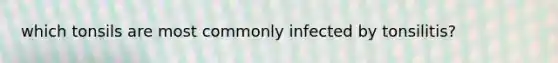 which tonsils are most commonly infected by tonsilitis?