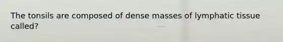 The tonsils are composed of dense masses of lymphatic tissue called?