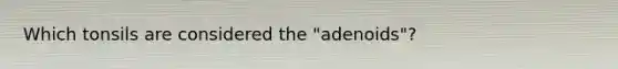 Which tonsils are considered the "adenoids"?