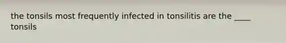 the tonsils most frequently infected in tonsilitis are the ____ tonsils