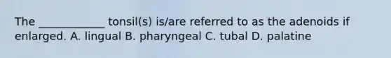 The ____________ tonsil(s) is/are referred to as the adenoids if enlarged. A. lingual B. pharyngeal C. tubal D. palatine