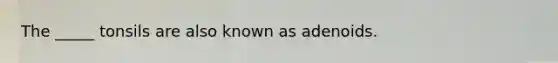 The _____ tonsils are also known as adenoids.