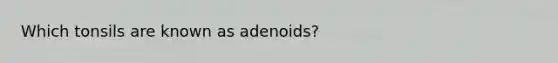 Which tonsils are known as adenoids?