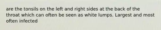 are the tonsils on the left and right sides at the back of the throat which can often be seen as white lumps. Largest and most often infected
