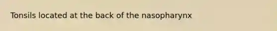 Tonsils located at the back of the nasopharynx