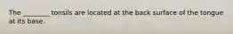 The ________ tonsils are located at the back surface of the tongue at its base.