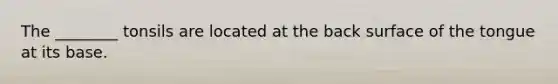 The ________ tonsils are located at the back surface of the tongue at its base.
