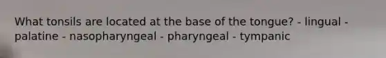 What tonsils are located at the base of the tongue? - lingual - palatine - nasopharyngeal - pharyngeal - tympanic