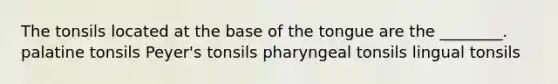 The tonsils located at the base of the tongue are the ________. palatine tonsils Peyer's tonsils pharyngeal tonsils lingual tonsils