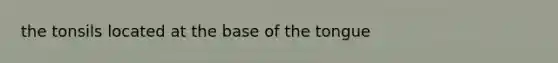 the tonsils located at the base of the tongue