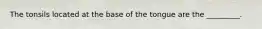 The tonsils located at the base of the tongue are the _________.