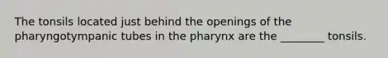 The tonsils located just behind the openings of the pharyngotympanic tubes in <a href='https://www.questionai.com/knowledge/ktW97n6hGJ-the-pharynx' class='anchor-knowledge'>the pharynx</a> are the ________ tonsils.