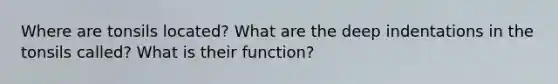 Where are tonsils located? What are the deep indentations in the tonsils called? What is their function?