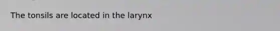 The tonsils are located in the larynx