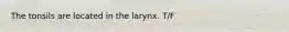 The tonsils are located in the larynx. T/F