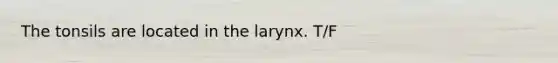 The tonsils are located in the larynx. T/F