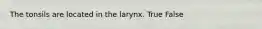 The tonsils are located in the larynx. True False