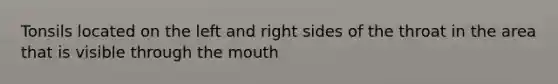 Tonsils located on the left and right sides of the throat in the area that is visible through <a href='https://www.questionai.com/knowledge/krBoWYDU6j-the-mouth' class='anchor-knowledge'>the mouth</a>