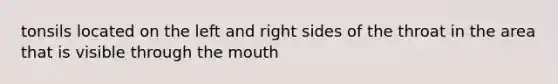 tonsils located on the left and right sides of the throat in the area that is visible through the mouth