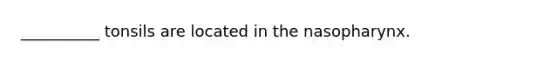 __________ tonsils are located in the nasopharynx.