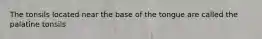 The tonsils located near the base of the tongue are called the palatine tonsils