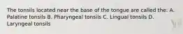 The tonsils located near the base of the tongue are called the: A. Palatine tonsils B. Pharyngeal tonsils C. Lingual tonsils D. Laryngeal tonsils