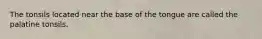 The tonsils located near the base of the tongue are called the palatine tonsils.