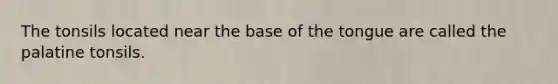 The tonsils located near the base of the tongue are called the palatine tonsils.