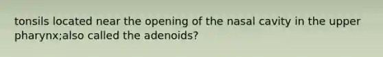 tonsils located near the opening of the nasal cavity in the upper pharynx;also called the adenoids?