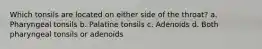 Which tonsils are located on either side of the throat? a. Pharyngeal tonsils b. Palatine tonsils c. Adenoids d. Both pharyngeal tonsils or adenoids