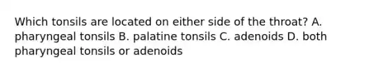 Which tonsils are located on either side of the throat? A. pharyngeal tonsils B. palatine tonsils C. adenoids D. both pharyngeal tonsils or adenoids