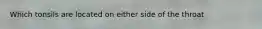 Which tonsils are located on either side of the throat