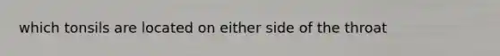 which tonsils are located on either side of the throat