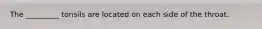 The _________ tonsils are located on each side of the throat.