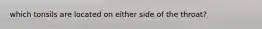 which tonsils are located on either side of the throat?