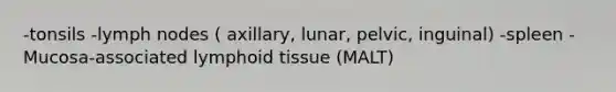 -tonsils -lymph nodes ( axillary, lunar, pelvic, inguinal) -spleen -Mucosa-associated lymphoid tissue (MALT)