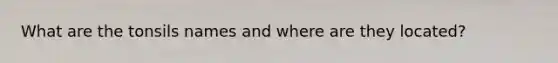 What are the tonsils names and where are they located?
