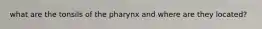 what are the tonsils of the pharynx and where are they located?