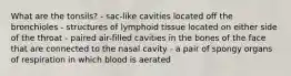 What are the tonsils? - sac-like cavities located off the bronchioles - structures of lymphoid tissue located on either side of the throat - paired air-filled cavities in the bones of the face that are connected to the nasal cavity - a pair of spongy organs of respiration in which blood is aerated