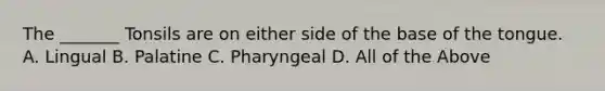 The _______ Tonsils are on either side of the base of the tongue. A. Lingual B. Palatine C. Pharyngeal D. All of the Above