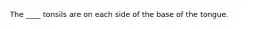 The ____ tonsils are on each side of the base of the tongue.