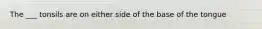 The ___ tonsils are on either side of the base of the tongue