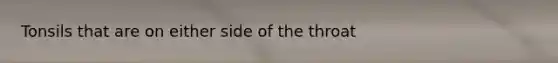 Tonsils that are on either side of the throat