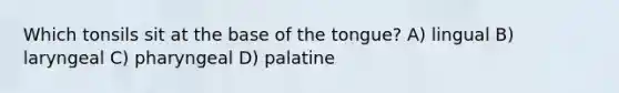 Which tonsils sit at the base of the tongue? A) lingual B) laryngeal C) pharyngeal D) palatine