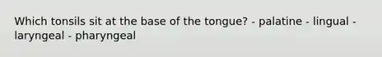 Which tonsils sit at the base of the tongue? - palatine - lingual - laryngeal - pharyngeal