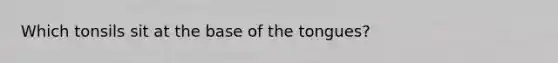 Which tonsils sit at the base of the tongues?