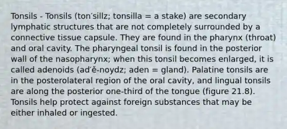 Tonsils - Tonsils (ton′sillz; tonsilla = a stake) are secondary lymphatic structures that are not completely surrounded by a connective tissue capsule. They are found in the pharynx (throat) and oral cavity. The pharyngeal tonsil is found in the posterior wall of the nasopharynx; when this tonsil becomes enlarged, it is called adenoids (ad′ě-noydz; aden = gland). Palatine tonsils are in the posterolateral region of the oral cavity, and lingual tonsils are along the posterior one-third of the tongue (figure 21.8). Tonsils help protect against foreign substances that may be either inhaled or ingested.